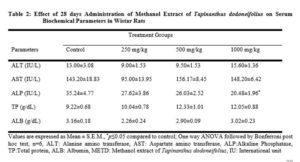 Effect of 28 days Administration of Methanol Extract of Tapinanthus dodoneifolius on Serum Biochemical Parameters in Wistar Rats