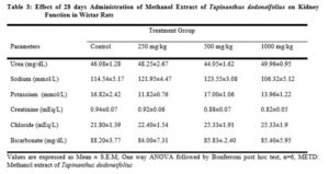 Effect of 28 days Administration of Methanol Extract of Tapinanthus dodoneifolius on Kidney Function in Wistar Rats