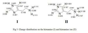 Computer Aided Drug Design: Charge distribution on the histamine (I) and histamine ion (II)