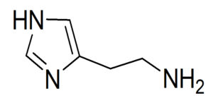Computer Aided Drug Design: 2D chemical structure of histamine