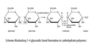 Featured Image for Formulation and Characterization of Metronidazole Suspension Using Gum Extracted from Dioclea reflexa Seeds