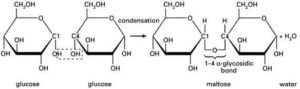 Formulation and Characterization of Metronidazole Suspension Using Gum Extracted from Dioclea reflexa Seeds Figure 1