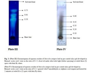 Phytochemical and In vivo Anti-Plasmodial Evaluation of N-Butanol and Aqueous Fractions of the Leaf of Sterculia setigera - Figure 2